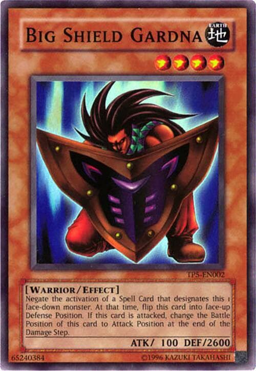 Big Shield Gardna