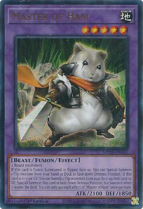 Master of Ham
