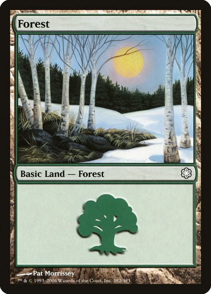 Forest (382)
